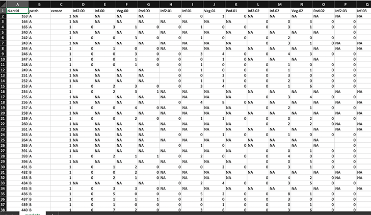  Figure 3.2: Horizontally-formatted dataset covering the Cypripedium candidum data