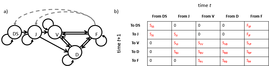  Figure 2.1: Simple life history model (a) and ahistorical MPM (b) for Cypripedium candidum, a North American herbaceous plant species